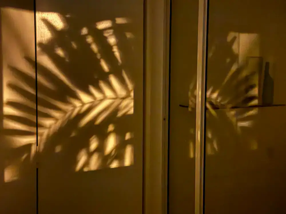 Play of natural light and shadows in a hallway
